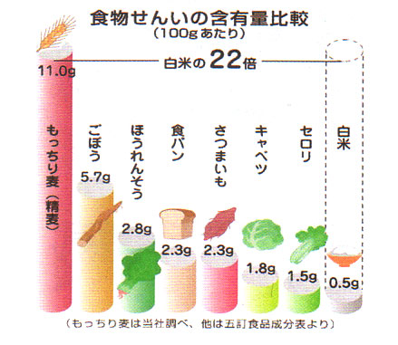 もっちり麦：食物繊維の含有量比較